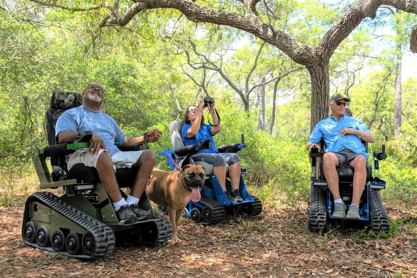 Three riders in EcoRovers on a wooded trail with a dog beside them.