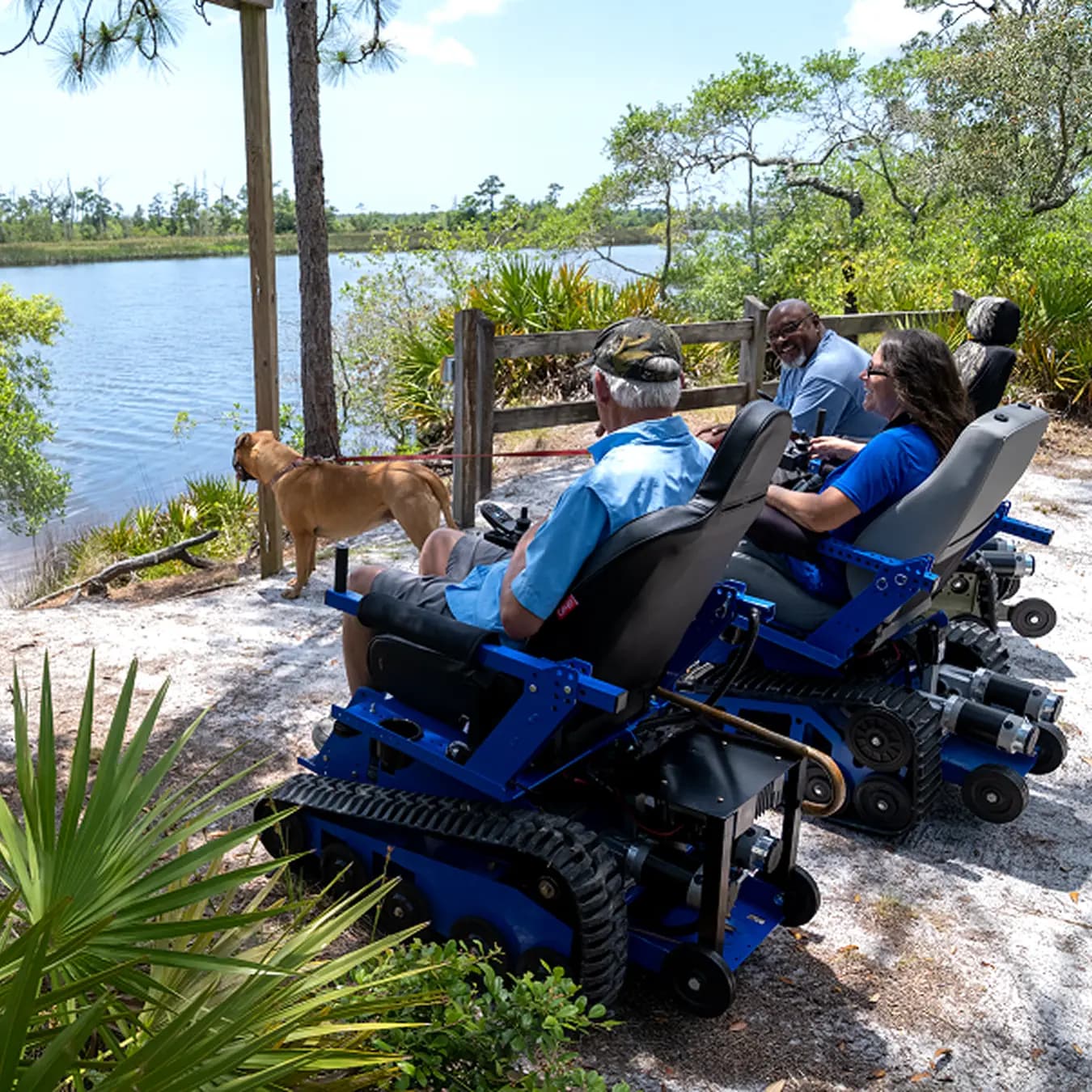 Three riders in EcoRovers enjoying a scenic waterside overlook.
